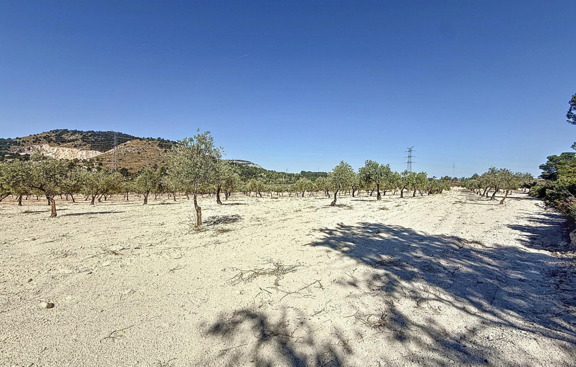 Venta - Country land - Biar - Comunidad valenciana