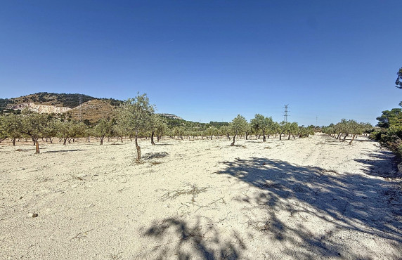 Venta - Country land - Biar - Comunidad valenciana