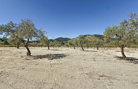 Venta - Country land - Biar - Comunidad valenciana