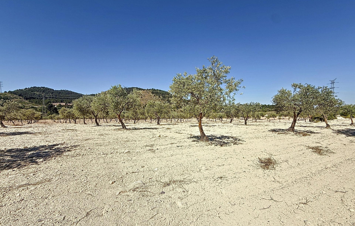 Venta - Country land - Biar - Comunidad valenciana
