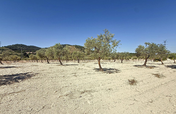 Venta - Country land - Biar - Comunidad valenciana