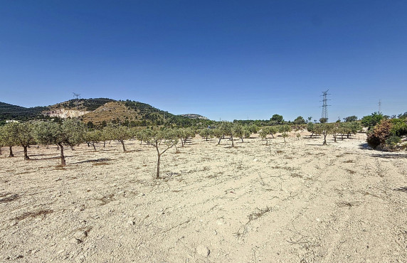 Venta - Country land - Biar - Comunidad valenciana