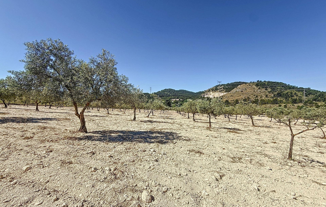 Venta - Country land - Biar - Comunidad valenciana