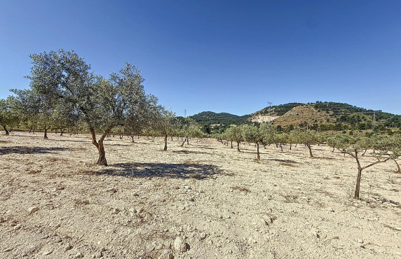 Venta - Country land - Biar - Comunidad valenciana