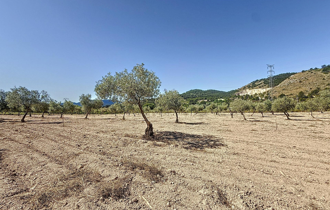 Venta - Country land - Biar - Comunidad valenciana