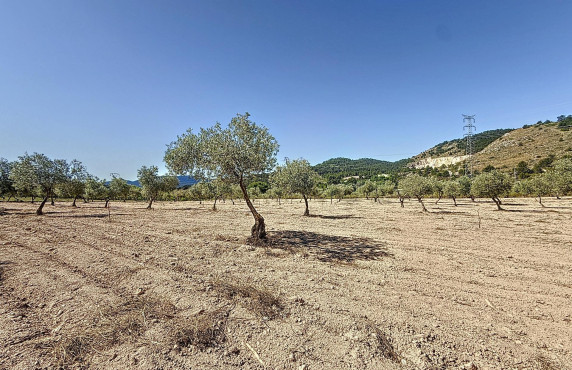 Venta - Country land - Biar - Comunidad valenciana