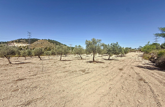 Venta - Country land - Biar - Comunidad valenciana