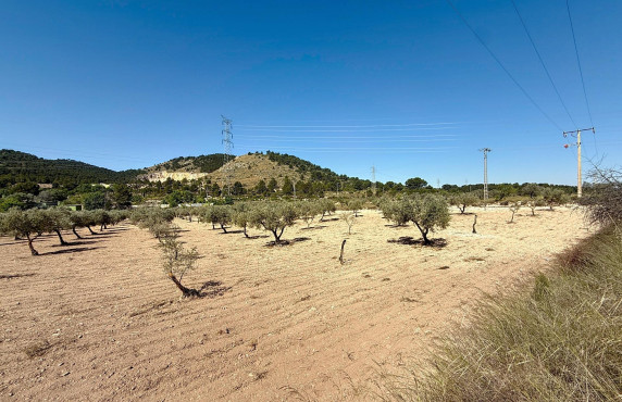 Venta - Country land - Biar - Comunidad valenciana