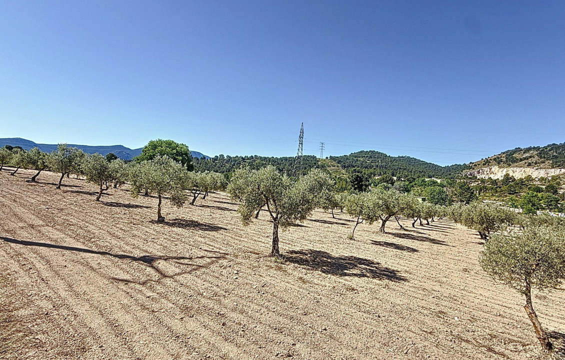 Venta - Country land - Biar - Comunidad valenciana