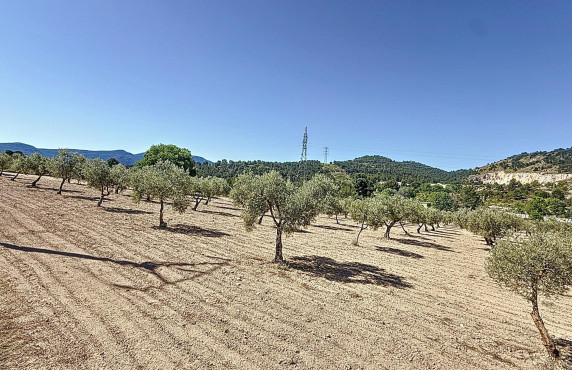 Venta - Country land - Biar - Comunidad valenciana