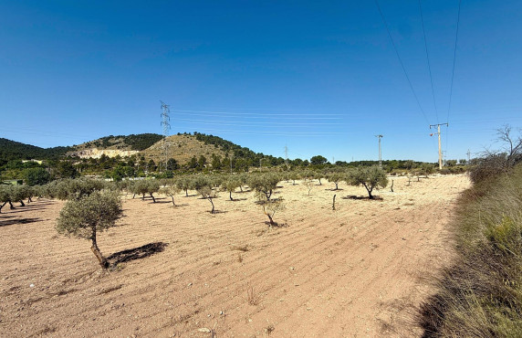 Venta - Country land - Biar - Comunidad valenciana