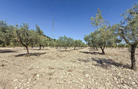 Venta - Country land - Biar - Comunidad valenciana