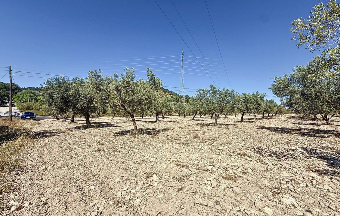 Venta - Country land - Biar - Comunidad valenciana
