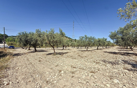 Venta - Country land - Biar - Comunidad valenciana