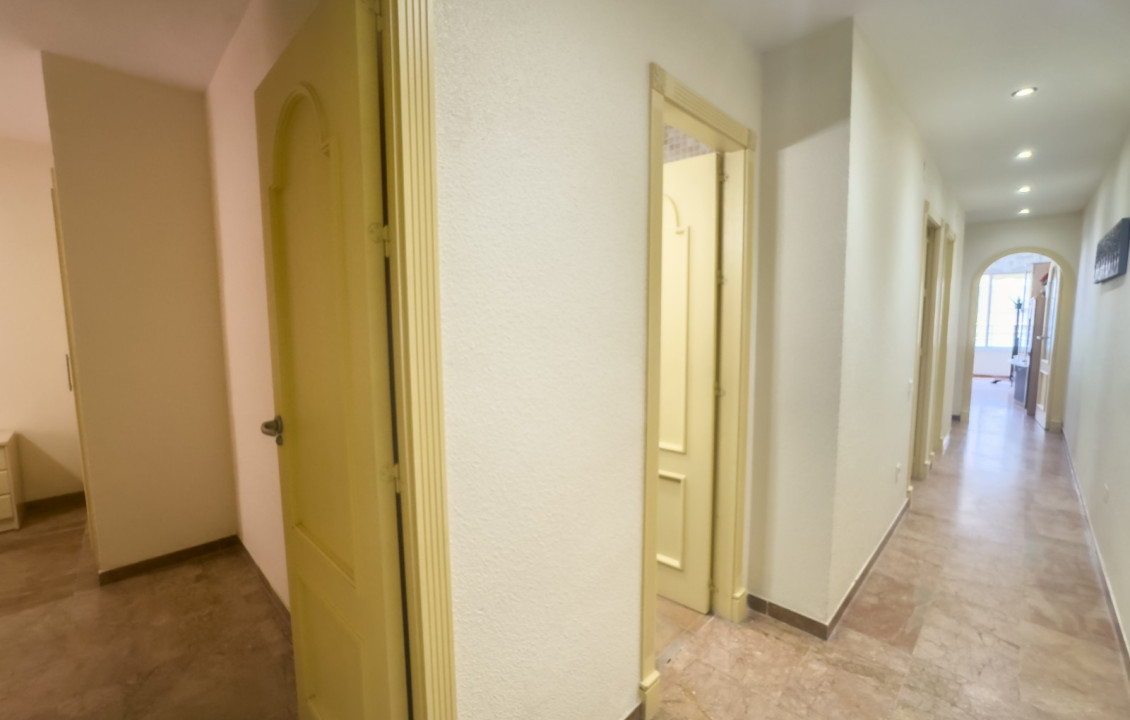 Alquiler Temporal - Apartamento - Santa Pola - Playa Levante