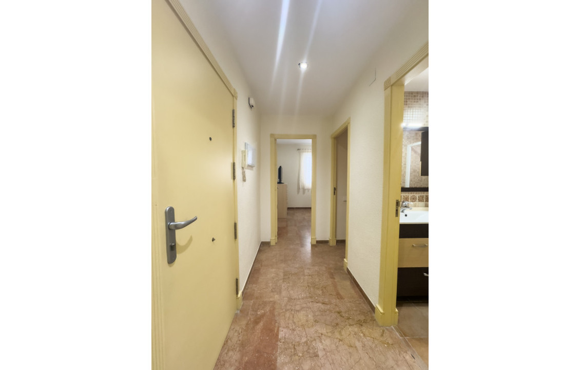 Alquiler Temporal - Apartamento - Santa Pola - Playa Levante