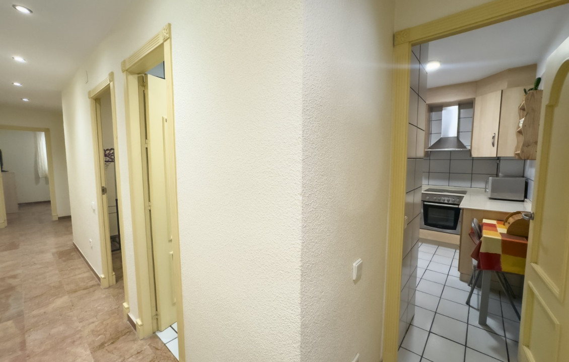 Alquiler Temporal - Apartamento - Santa Pola - Playa Levante