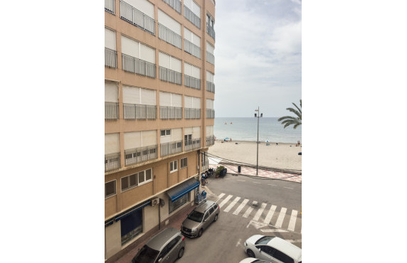 Alquiler Temporal - Apartamento - Santa Pola - Playa Levante