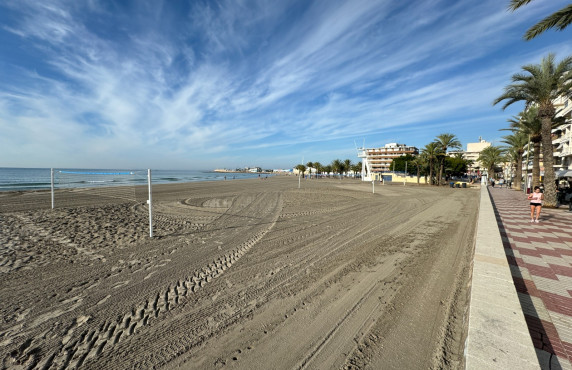 Alquiler Temporal - Apartamento - Santa Pola - Playa Levante