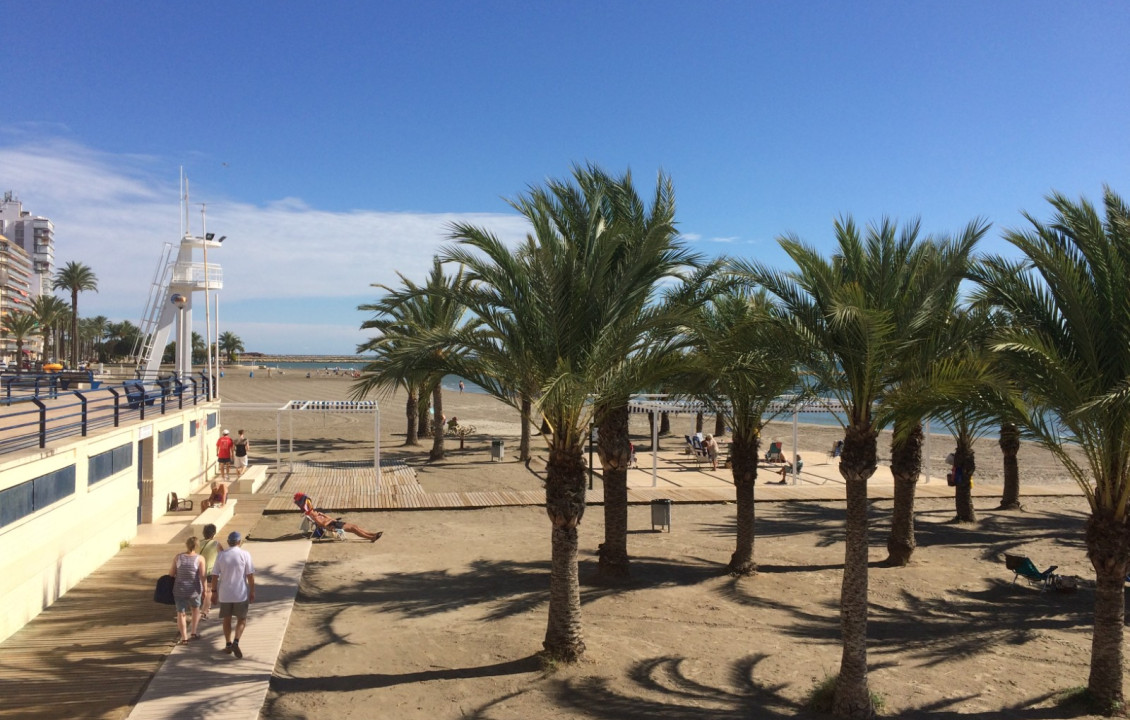 Alquiler Temporal - Apartamento - Santa Pola - Playa Levante
