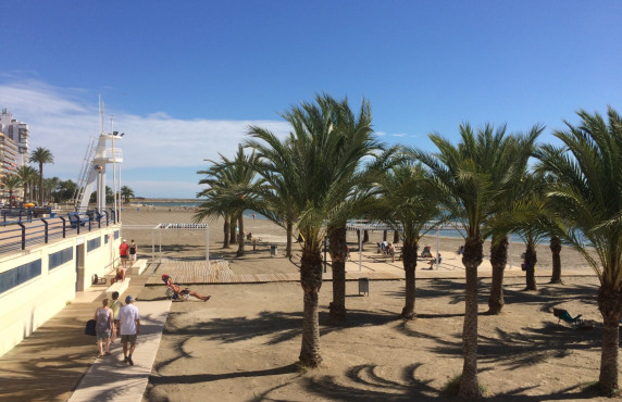 Alquiler Temporal - Apartamento - Santa Pola - Playa Levante