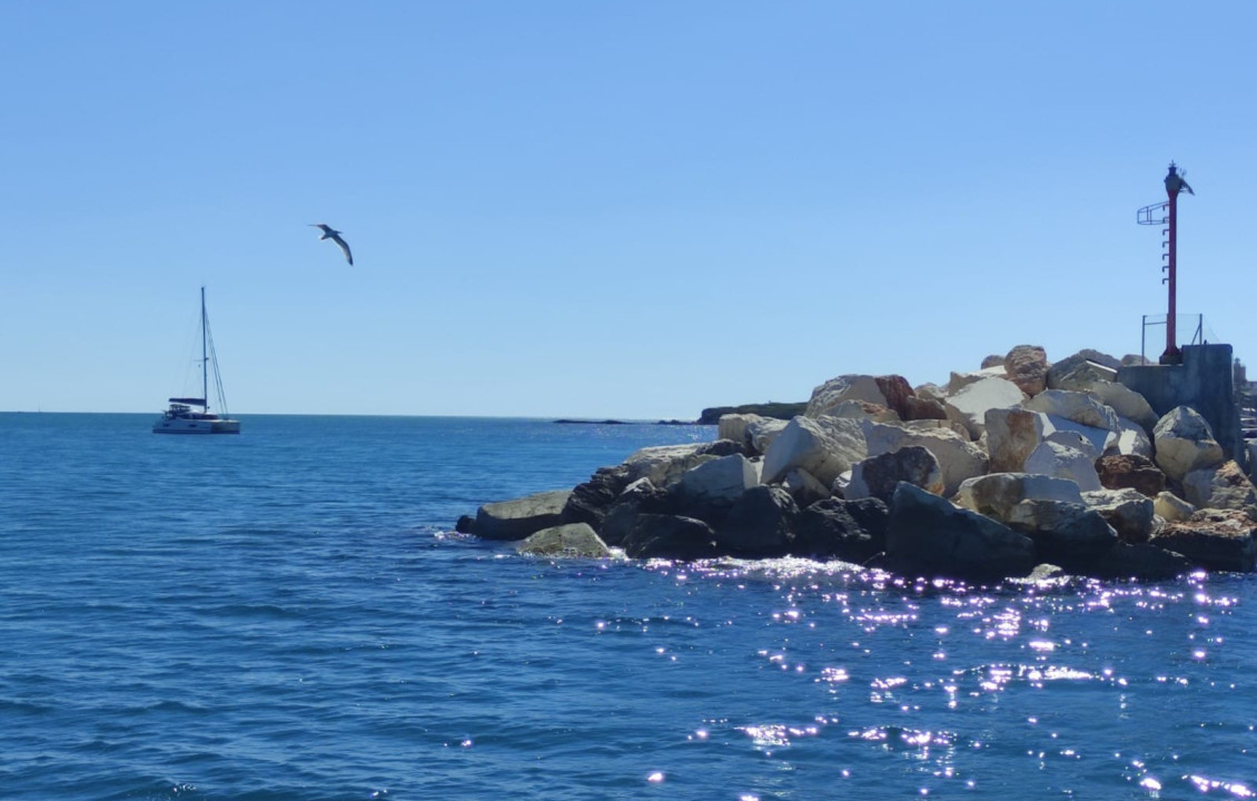 Alquiler Temporal - Apartamento - Santa Pola - Playa Levante