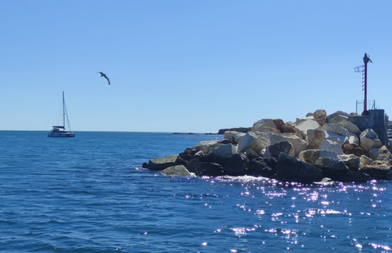 Alquiler Temporal - Apartamento - Santa Pola - Playa Levante