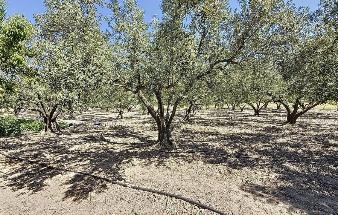 Venta - Country house - Onil - Senda Del Chopet
