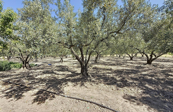 Venta - Country house - Onil - Senda Del Chopet