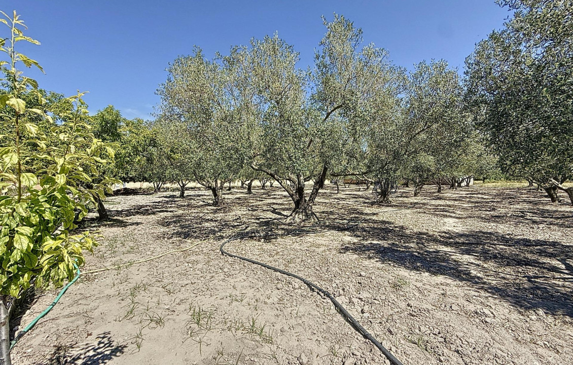 Venta - Country house - Onil - Senda Del Chopet