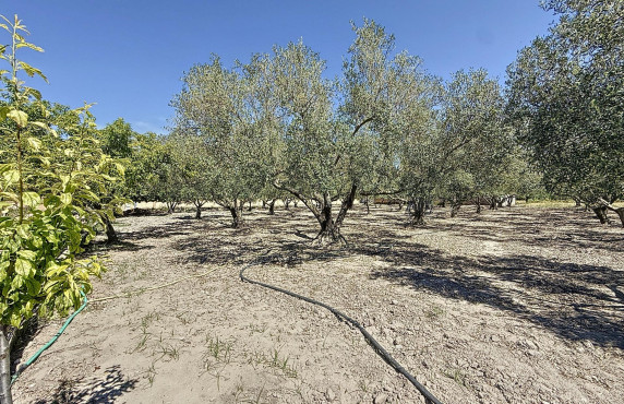 Venta - Country house - Onil - Senda Del Chopet