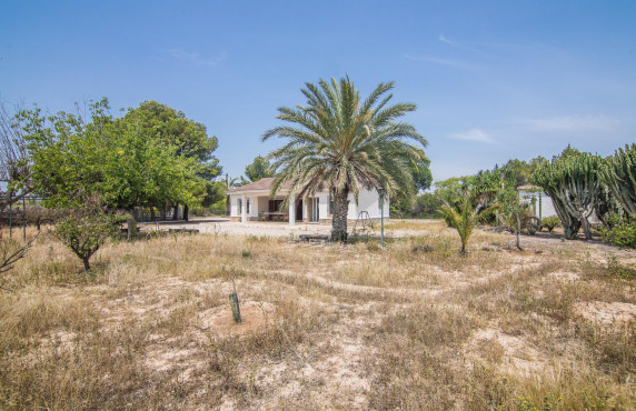Venta - house - Elche - La Galia-Bonavista