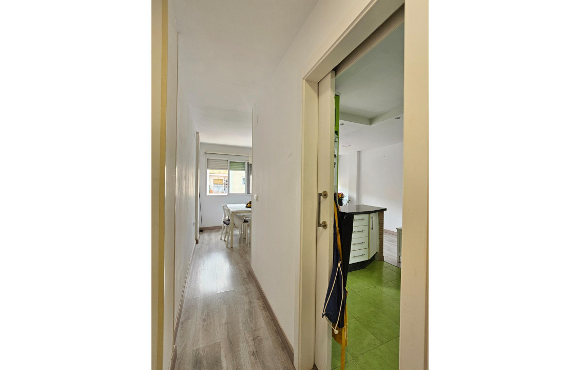 Venta - Piso - San Vicente del Raspeig - Sur