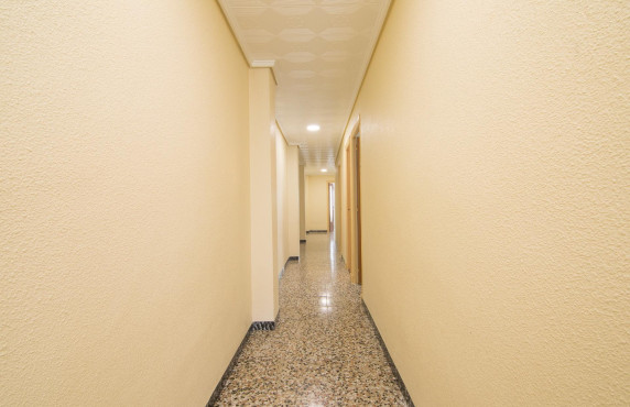 Venta - Piso - Elche - Plaza Crevillente-Juzgados
