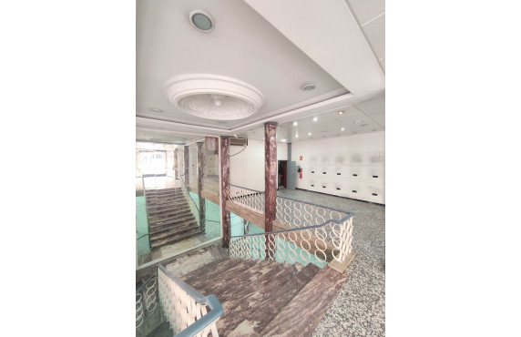 Alquiler Larga Estancia - Local comercial - Elche - Centro