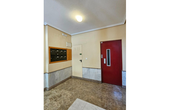 For Sale - Flat - San Vicente del Raspeig - Centro