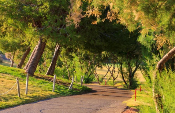 Venta - villa - Pilar de la Horadada - Lo Romero Golf