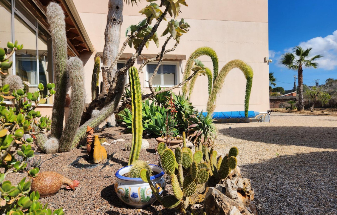 Venta - villa - Jacarilla