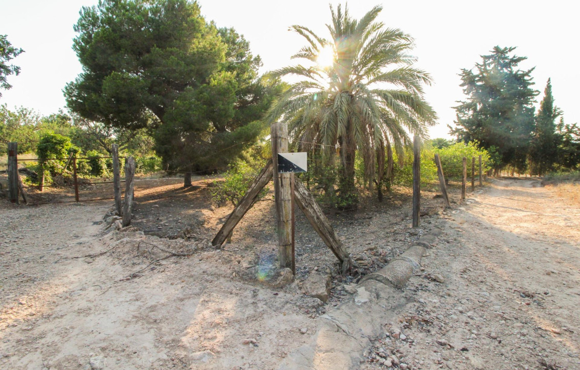 For Sale - Country land - Elche pedanias - LA MARINA