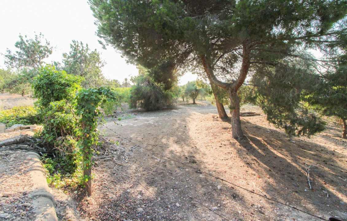 For Sale - Country land - Elche pedanias - LA MARINA