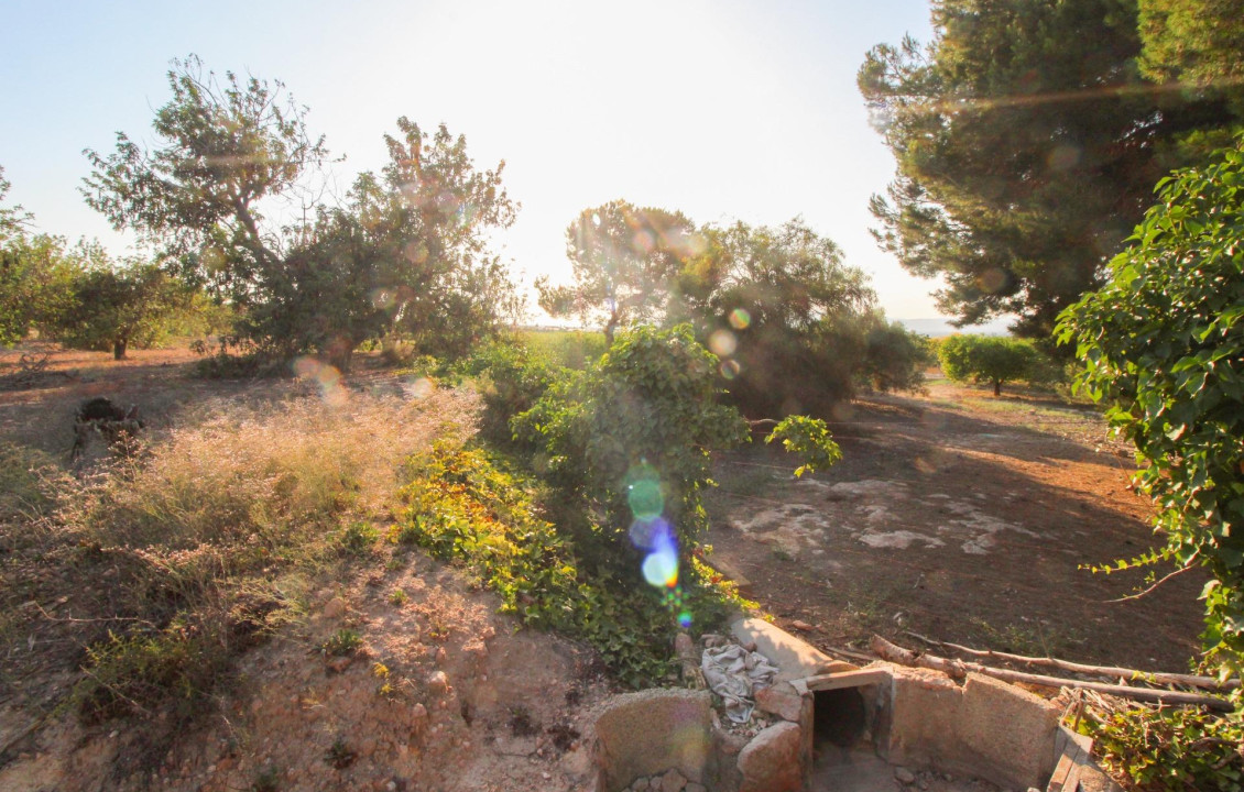 For Sale - Country land - Elche pedanias - LA MARINA