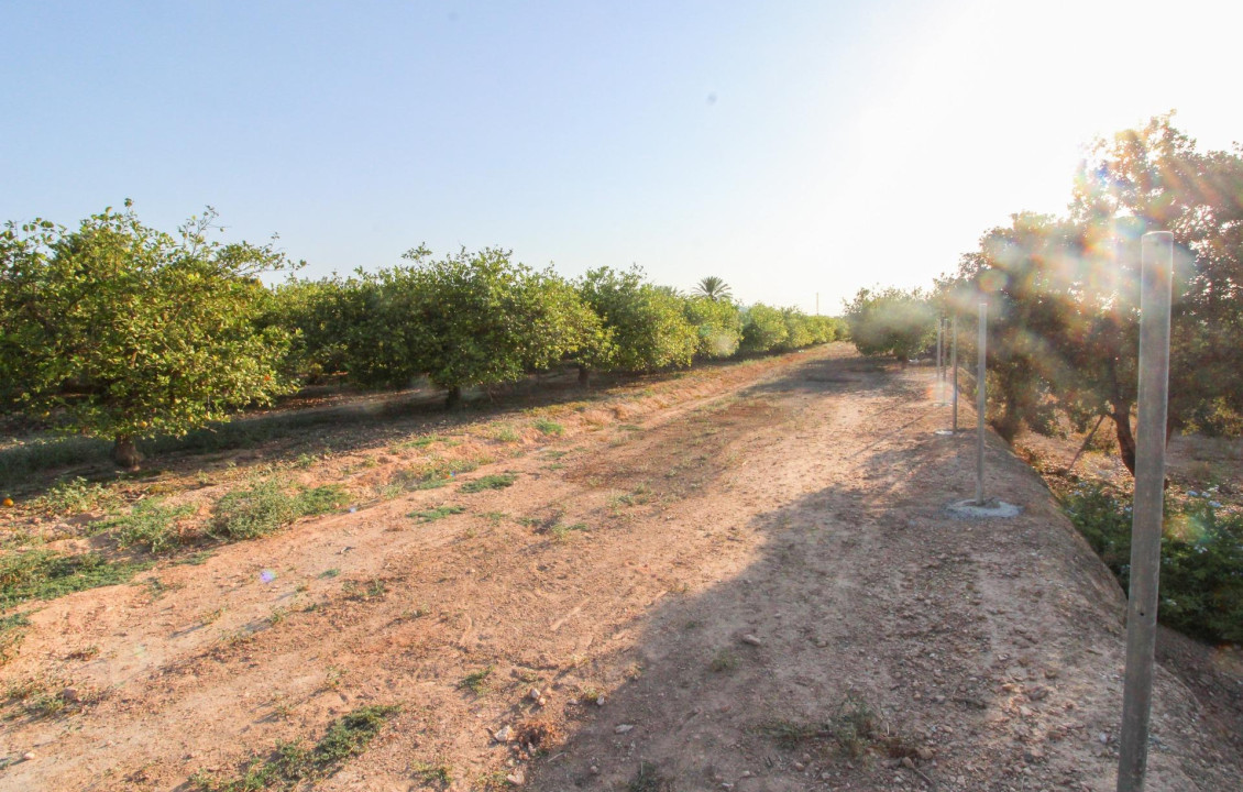 For Sale - Country land - Elche pedanias - LA MARINA