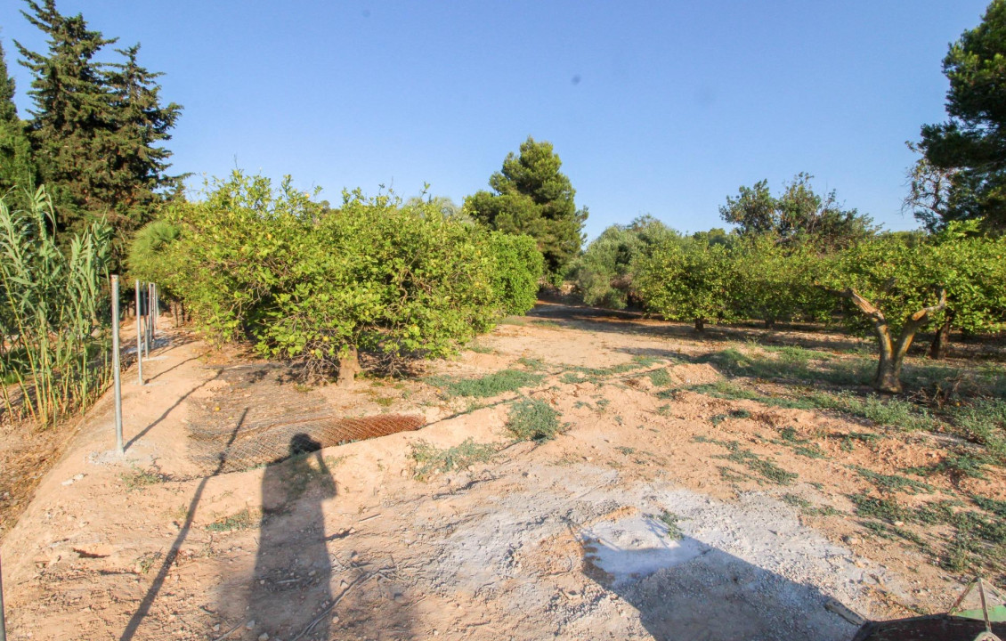 For Sale - Country land - Elche pedanias - LA MARINA