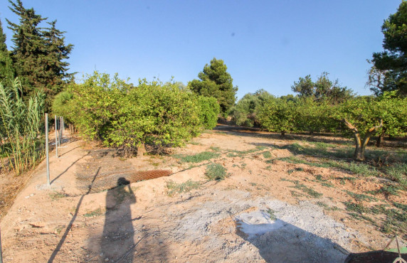 For Sale - Country land - Elche pedanias - LA MARINA
