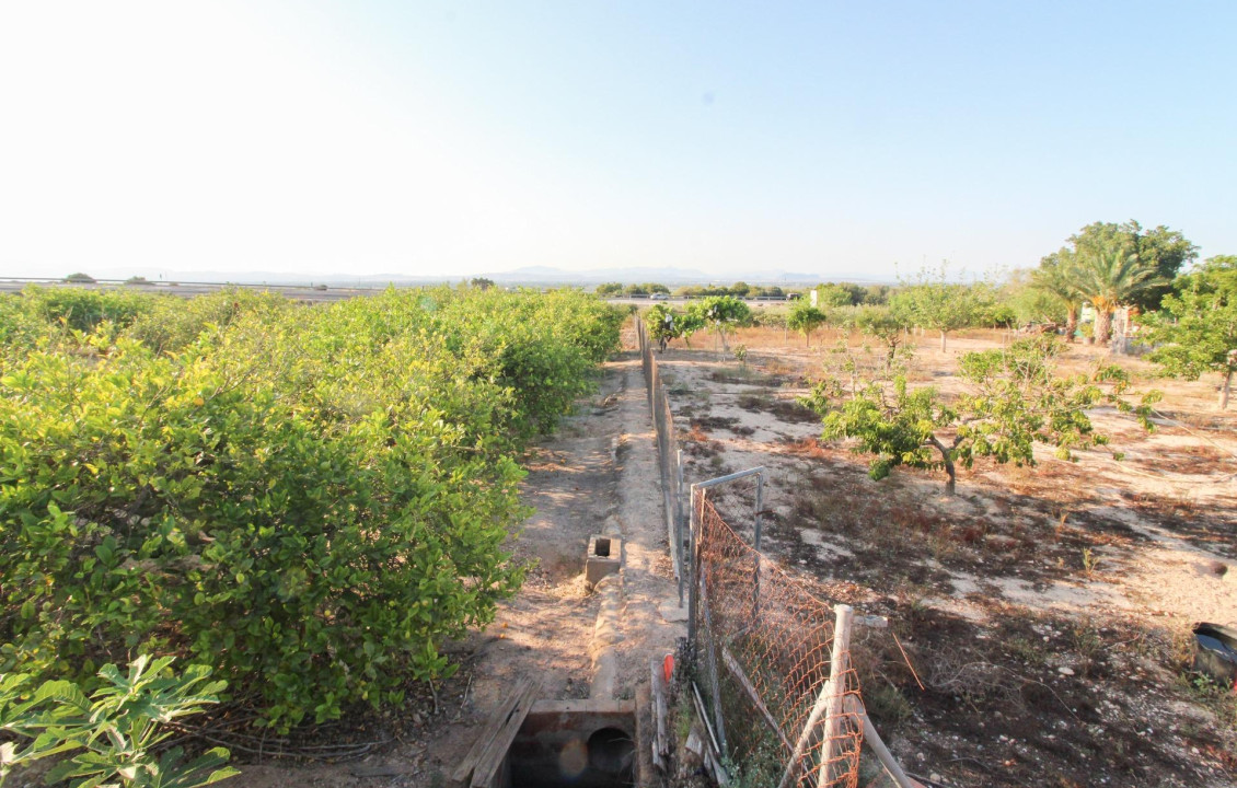 For Sale - Country land - Elche pedanias - LA MARINA