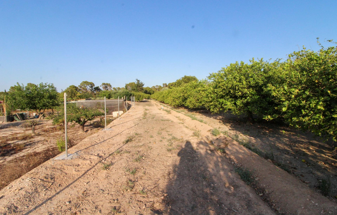 For Sale - Country land - Elche pedanias - LA MARINA