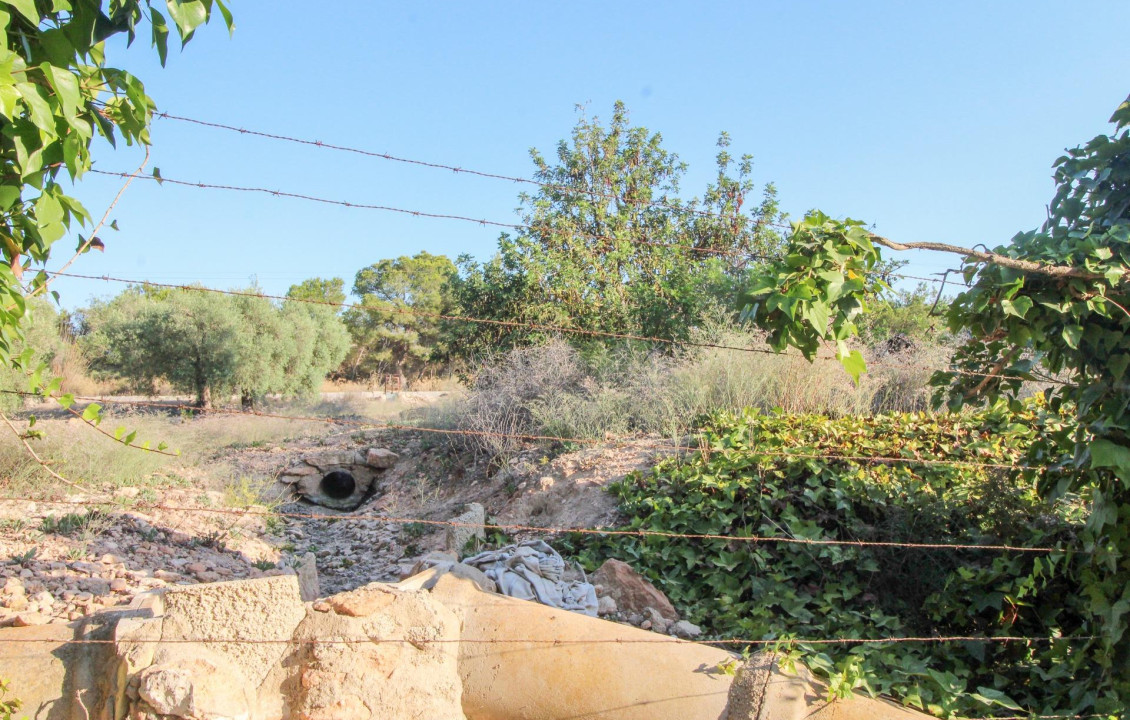 For Sale - Country land - Elche pedanias - LA MARINA