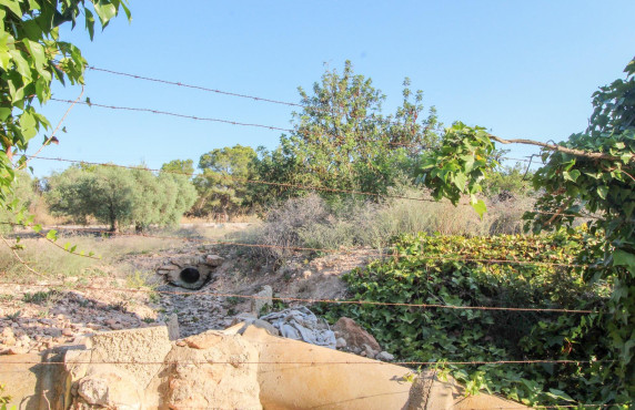 For Sale - Country land - Elche pedanias - LA MARINA