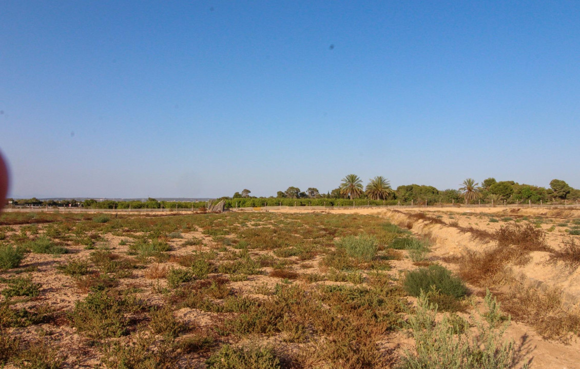 For Sale - Country land - Elche pedanias - LA MARINA