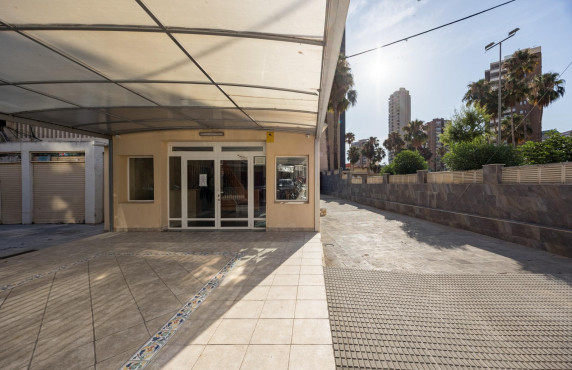 Venta - Apartamento - Benidorm - Levante